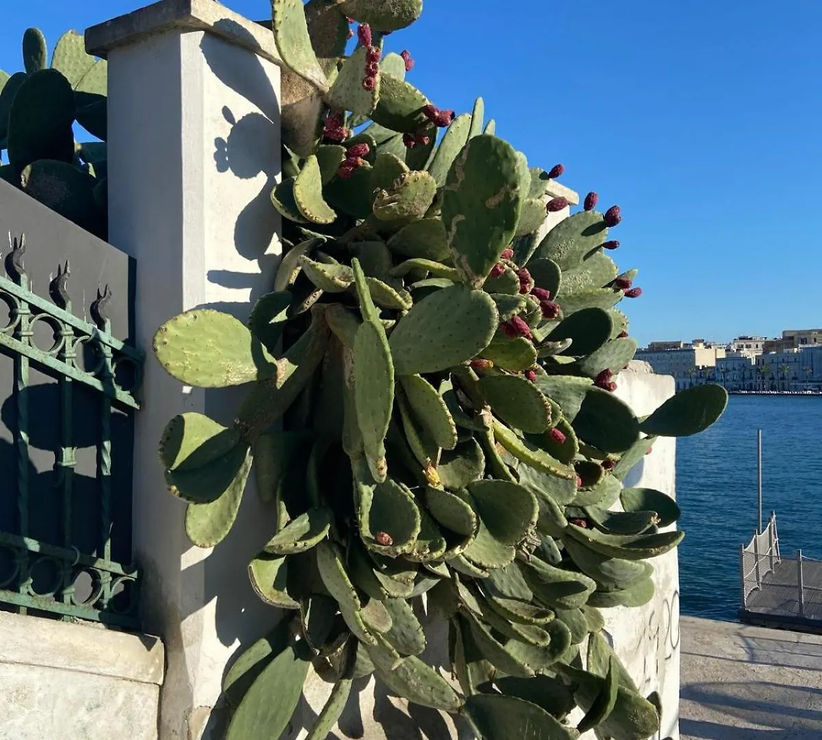 Stella Del Salento Daire Brindisi